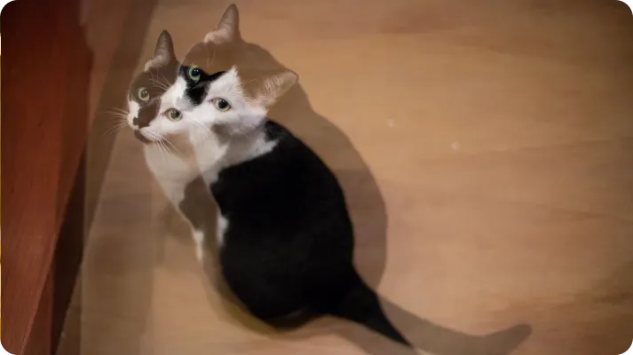 image of childrens playground