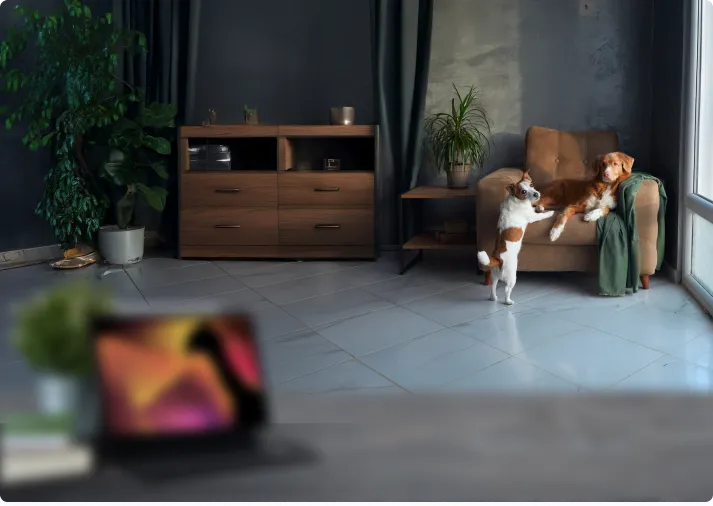 image of far sigthed