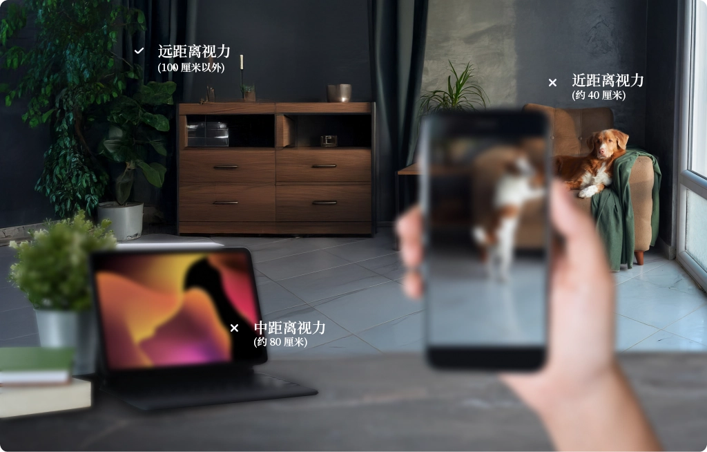 monofocal vision sample