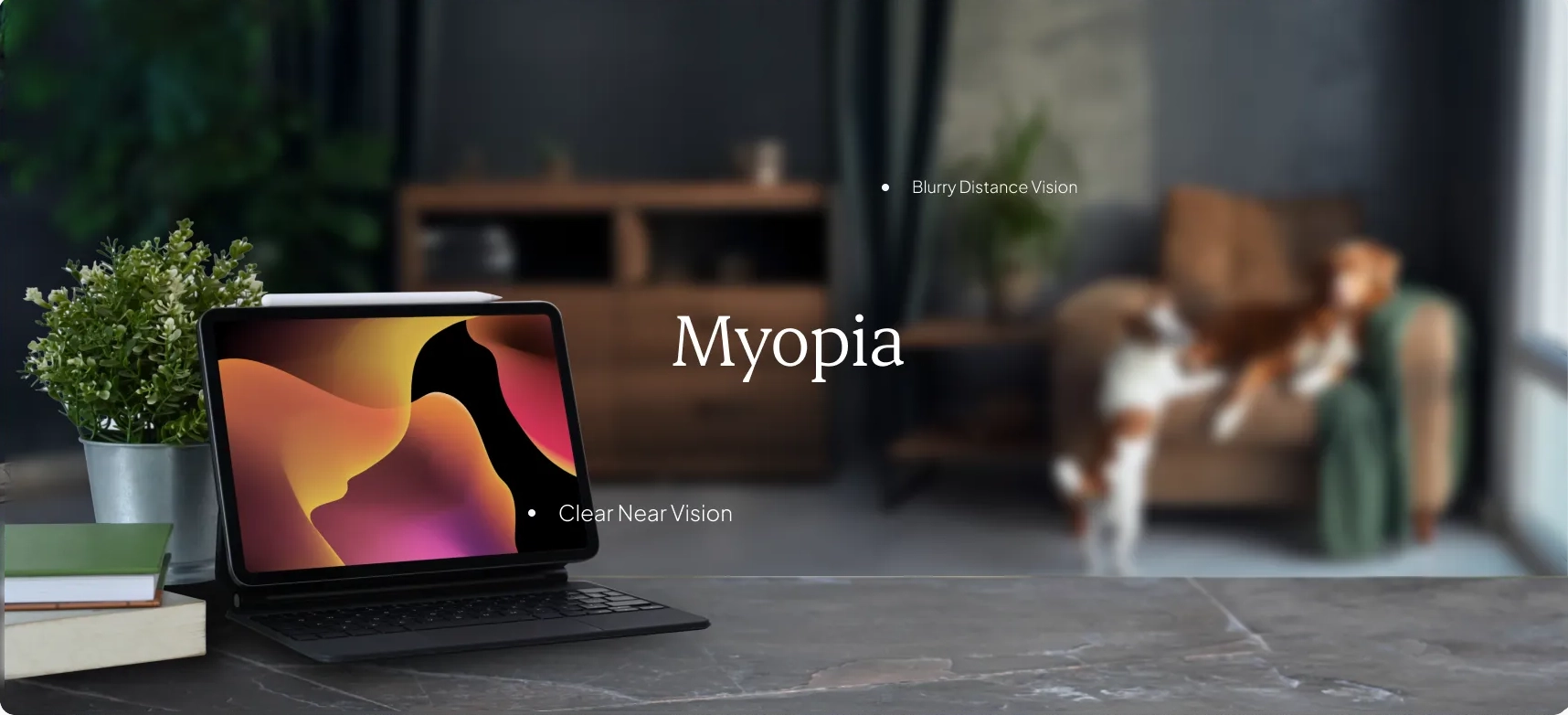 sample of myopia