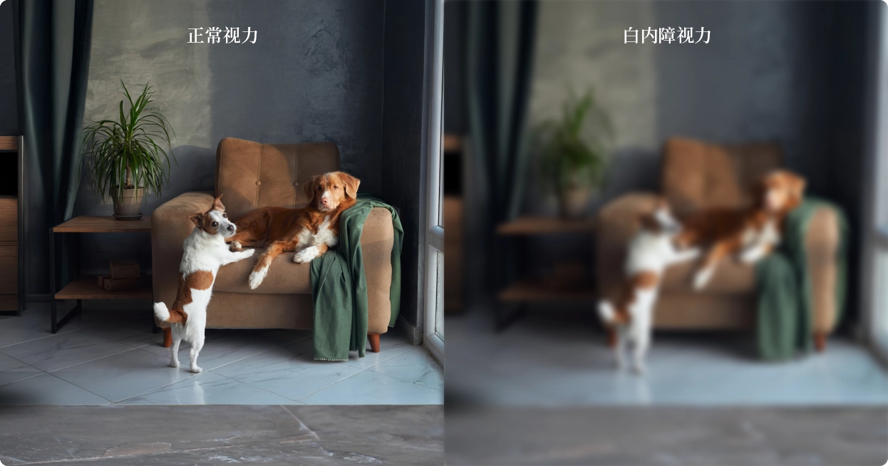 eye surgery on asian male patient